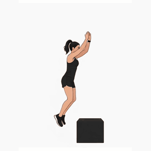 Box Jumps demonstration