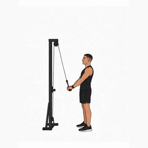 Triceps Pushdown demonstration