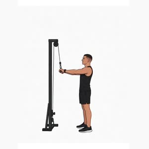 Triceps Pushdown
