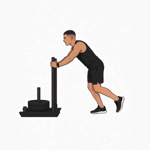 Sled Push demonstration