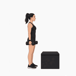 Step-Ups demonstration